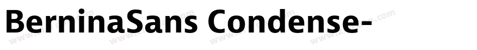 BerninaSans Condense字体转换
